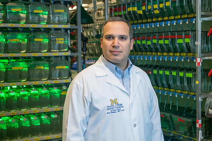 Dr. Alon Kahana